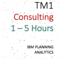 TM1 Consulting – upto 5 hours ($99/hr)