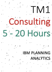 TM1 Consulting – 5 to 20 hours ($89/hr)