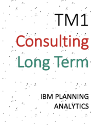 TM1 Consulting – Long Term