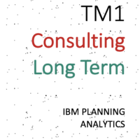 TM1 Consulting – Long Term